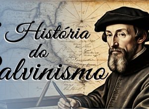 A História do Calvinismo